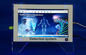 Quantouch 스크린 양자 바이오 전기 몸 건강 분석기 38 보고서 협력 업체