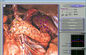 양자 자기 공명 3d Nls 상태 분석기, 윈 XP 윈 7 협력 업체
