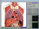 3d Nls 건강 신체 구성 분석기, 혈 구 분석기 협력 업체