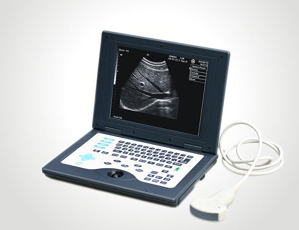 CLS5800 노트북 충분히 수의 초음파 스캐너 디지털 방식으로 초음파 진단 시스템